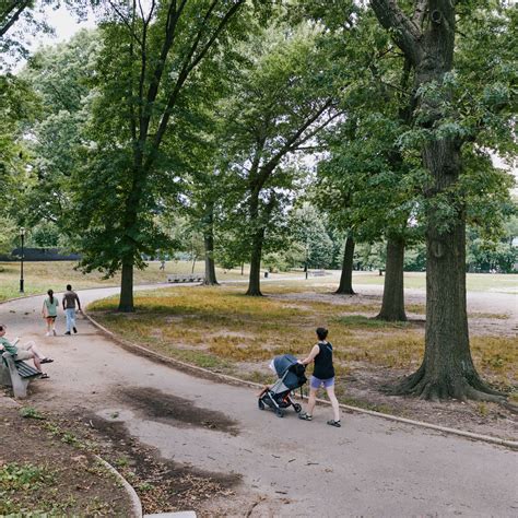 types of cities|NO2 Emissions in Can Undo Some Benefits of City Trees, Study .